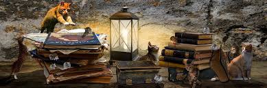 We have a massive amount of desktop and mobile backgrounds. 100 Free Cat Mouse Mouse Images