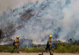 El operativo y la investigación. Incendios Forestales En El Bolson Peligro E Imagenes Impactantes