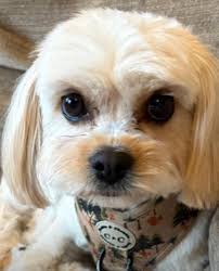 Nellie is ready for her close up 😍