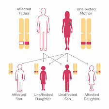 Many women know breast cancer runs in their family. Genetic Testing For Breast Cancer National Breast Cancer Foundation