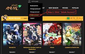 Guiding | How to delete your account on Gogoanime site? - Gogoanime.news