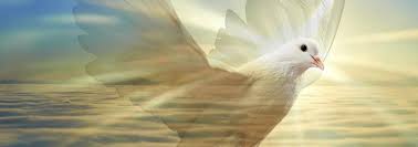 Ms. Waunikee Edmonds