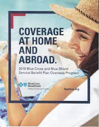 The blue shield, formerly the international committee of the blue shield, is an international organization founded in 1996 to protect the world's cultural heritage from threats such as armed conflict and natural disasters. How To File Blue Cross Blue Shield Overseas Medical Claims Youmemindbody