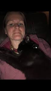 Cute black cat brings joy