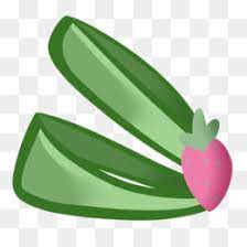Button Funray Flower Youtube Best Flower Wallpaper
