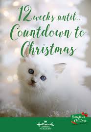 Only 12 Weeks Until Countdown To Christmas Check Our Pinterest Boards For Ideas And Inspiration And Celebrat Christmas Countdown Hallmark Movies Holiday Movie