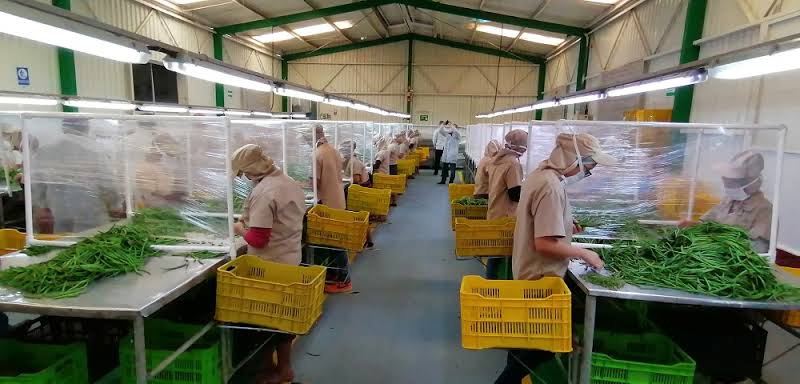 SABÍA USTED QUÉ SECTORES ESTÁN EN EL TOP 5 DE BENEFICIADOS POR EL FONDO DE  PROTECCIÓN AL EMPLEO? - Gobierno de Guatemala