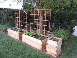 Minifarmbox is ranked 940,595 in the united states. Minifarmbox Archives Gardenerd