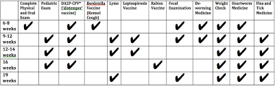 recommended puppy vaccination schedule we care for our pets