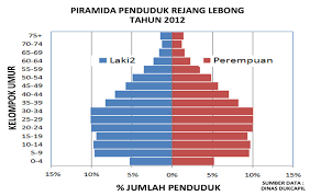 Pengertian Dan Macam Macam Piramida Penduduk D Kings Blogspot