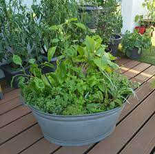 Das set enthält alles, was sie zum anbau von erdbeeren, minze und basilikum benötigen. Mischkultur Im Kubel Dachgemuse