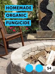 Homemade Organic Fungicide Starting A Vegetable Garden Grass Seed Planting Grass Seed