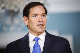 Endangered Sumatran Tiger Cubs Born at Oregon Zoo for First Time in 38  Years