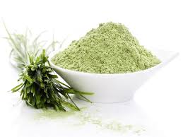 The wheatgrass benefits of these components are: 19 Amazing Wheatgrass Powder Benefits For Skin Hair Health