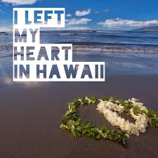 Sayings Of Hawaii 1 Hawaii Quotes Hawaii Travel Hawaii Life