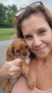 Welcome to the fam, Hi am Oakley, first day in my new home. Hope you bring  much joy and happiness to our lives all thanks to the breeder  Schipperkepuppies For Adoption By