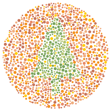 Color blindness (also called color vision deficiency or cvd) is a reduced ability to see colors. Pin On Hadley Wren