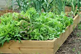 Containers make it possible to grow anything anywhere if you know what to do. Vegetable Container Gardening Tips Hgtv
