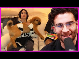 Hasan Checks In Valkyrae and On His Puppy Kaya DAY 6 IN JAPAN