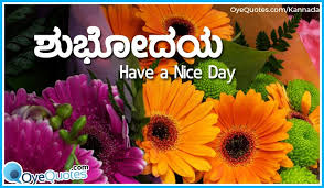 Pin On Trendy Womens Shoes It is as old as tamil, the truest language of the dravidian family. pin on trendy womens shoes