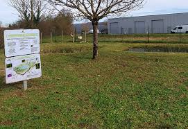 La biodiversité et les zones d’activités peuvent-elles cohabiter ?