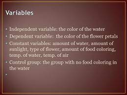 Maybe you would like to learn more about one of these? Science Fair Project Colorful Carnations Biology Mallory Running Ppt Video Online Download