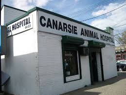 › » featured company listings. Canarsie Animal Hospital Home