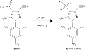 Fipronil An Overview Sciencedirect Topics