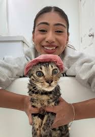 Farid Solis's Instagram, Twitter & Facebook