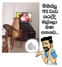 We did not find results for: Facebook