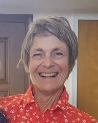 Sharon L. (Busch) Schwartz Obituary July 12, 2019