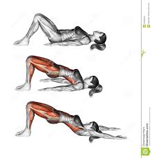 Yoga Exercise Bridge Pose Setu Bandhasana Female Yoga Abs Best Ab Workout Ab Workout Men