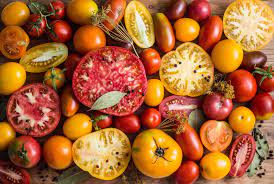 C'est une tomate de la famille de la coeur de boeuf, mais bien plus facile à émonder (éplucher). Tomate Fleurette F1 Caracteristiques Culture Ooreka
