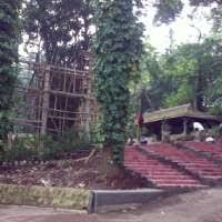 Dengan napas yang masih memburu, pringgo pun menjawab, tenang boss.tenang saja. Pertama Kandang Macan Lengkap Dengan Pohon Hidup
