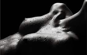 Desnudos Sonetos En Fuga