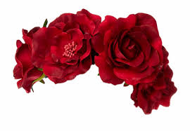 Red Flower Crown Png Free Red Flower Crown Png Transparent Images 43559 Pngio I'm still offering these until november 1st! red flower crown png transparent