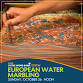European Water Marbling Workshop event image