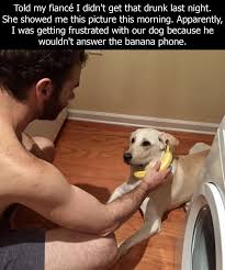 Pin On Laugh And You Ll Be Ok