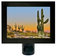 Majestic Saguaro Cactus Desert Night Light Photo Night Lights