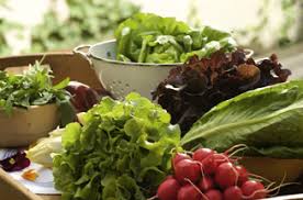 Maybe you would like to learn more about one of these? Organic Food Industry Plans Joint Campaign To Challenge Critics Campaign Us