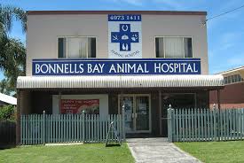 Do not use your email address as a username. Home Cooranbong Animal Hospital Bonnells Bay Animal Hospital