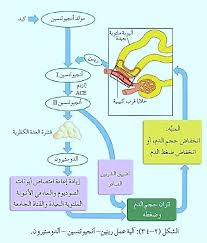 Https Awa2el Net Sites Default Files Fsl Nql Lgzt W Ly Ml Lkly W Lmn Pdf