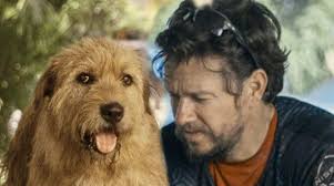 Arthur The King' Ending Explained & Film Summary: Is Arthur Dead In  Real-Life?