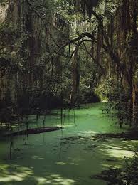 See more ideas about witch aesthetic, witch, swamp. Bayou Witch Explore Tumblr Posts And Blogs Tumgir
