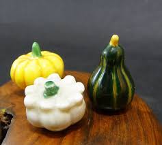 3 French Feves Pumkins Marrows Squashes Zucchini Red Green Yellow Colocynthes Miniatures Veggies Tiny Vegetables Kitchen Decor Collecta Squashes Pumkin Pumpkin