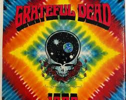 Grateful Dead: Downhill From Here, Alpine Valley 1989, Vintage VHS Tape -  Etsy