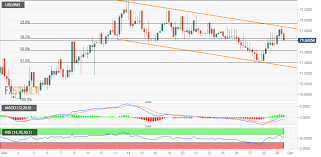 usd inr technical analysis eases from weekly tops up