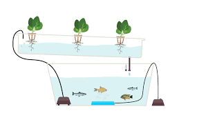 There are many different types of hydroponic systems, but most are considered to be either active or passive. A Complete Guide To Aquaponic Gardening Trees Com