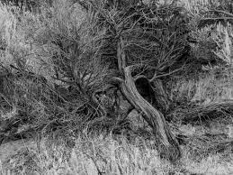 Joe Vale (@joevalephotography) • Instagram photos and videos