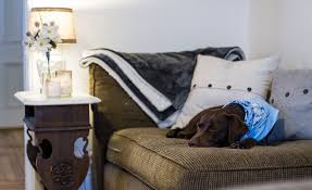 #hundesofa instagram videos and photos. Hundesofa Die Hundecouch Als Alternative Zum Hundebett